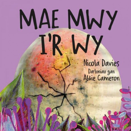 Mae Mwy Ir Wy - Nicola Davies [KSIĄŻKA]