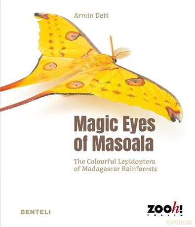 Magic Eyes Of Masoala The Colourful Le - Armin Dett [KSIĄŻKA]