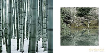 Magic Of Japanese Zen Gardens - Thomas Kierok [KSIĄŻKA]