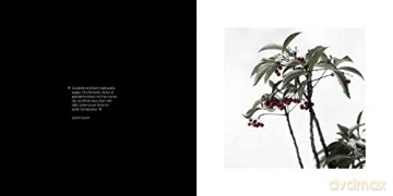 Magic Of Japanese Zen Gardens - Thomas Kierok [KSIĄŻKA]