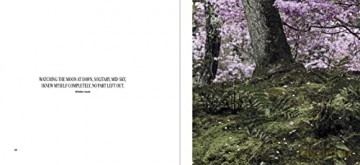 Magic Of Japanese Zen Gardens - Thomas Kierok [KSIĄŻKA]