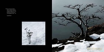 Magic Of Japanese Zen Gardens - Thomas Kierok [KSIĄŻKA]