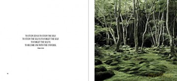 Magic Of Japanese Zen Gardens - Thomas Kierok [KSIĄŻKA]