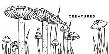 Magical Things Colouring Book - Alli Koch [KSIĄŻKA]