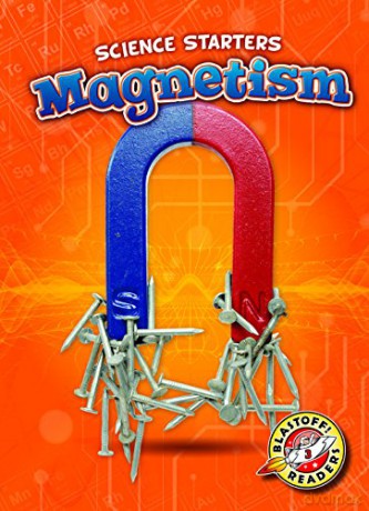 Magnetism - Carolyn Bernhardt [KSIĄŻKA]