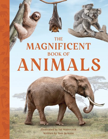 Magnificent Book Of Animals - Tom Jackson [KSIĄŻKA]
