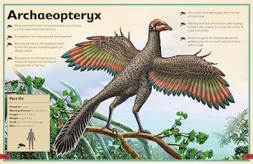 Magnificent Book Of Dinosaurs - Tom Jackson [KSIĄŻKA]