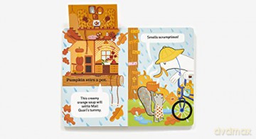 Mail Duck Helps A Friend - Erica Sirotich [KSIĄŻKA]
