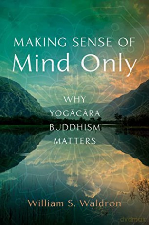 Making Sense Of Mind Only - William S. Waldorn [KSIĄŻKA]
