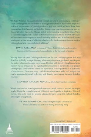 Making Sense Of Mind Only - William S. Waldorn [KSIĄŻKA]