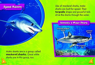 Mako Sharks - Rebecca Pettiford [KSIĄŻKA]