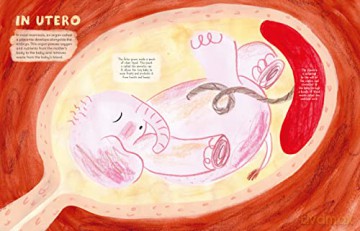 Mama Mammals Reproduction/Birth Humans - Cathy Evans [KSIĄŻKA]