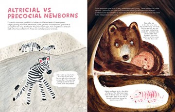 Mama Mammals Reproduction/Birth Humans - Cathy Evans [KSIĄŻKA]