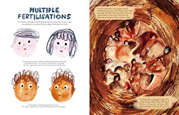Mama Mammals Reproduction/Birth Humans - Cathy Evans [KSIĄŻKA]