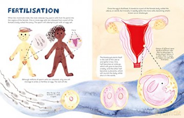 Mama Mammals Reproduction/Birth Humans - Cathy Evans [KSIĄŻKA]