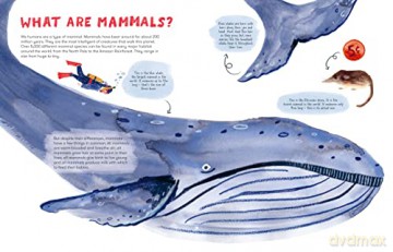 Mama Mammals Reproduction/Birth Humans - Cathy Evans [KSIĄŻKA]