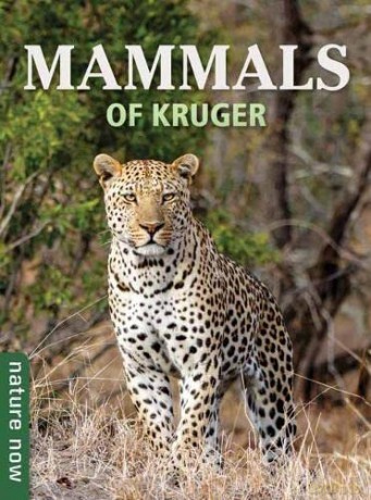 Mammals Of Kruger - Joan Young [KSIĄŻKA]