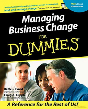 Managing Business Change For Dummies - Evard [KSIĄŻKA]