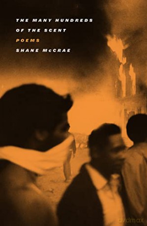 Many Hundreds Of The Scent - Shane Mccrae [KSIĄŻKA]