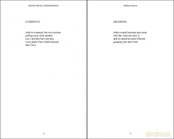 Many Small Hungerings Poetry - William Bortz [KSIĄŻKA]