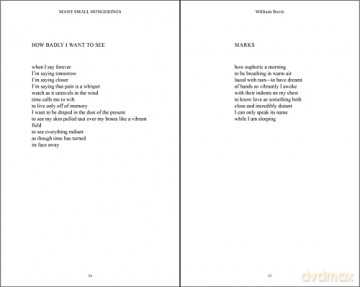 Many Small Hungerings Poetry - William Bortz [KSIĄŻKA]