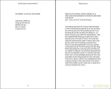 Many Small Hungerings Poetry - William Bortz [KSIĄŻKA]