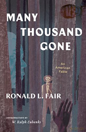 Many Thousand Gone An American Fable - Ronald L Fair [KSIĄŻKA]