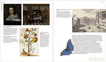 Maria Sibylla Merian :Artist Scentist Ad - Sarah Pomeroy [KSIĄŻKA]