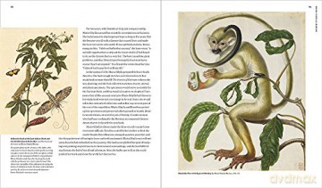Maria Sibylla Merian :Artist Scentist Ad - Sarah Pomeroy [KSIĄŻKA]