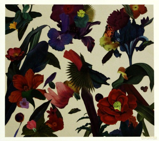 Washed Out: Paracosm (digipack) [CD]