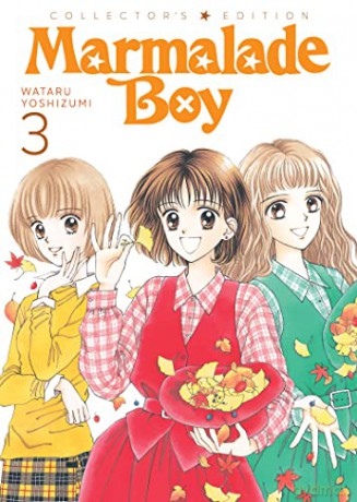 Marmalade Boy Collectors Ed 3 - Yoshizumi W [KSIĄŻKA]