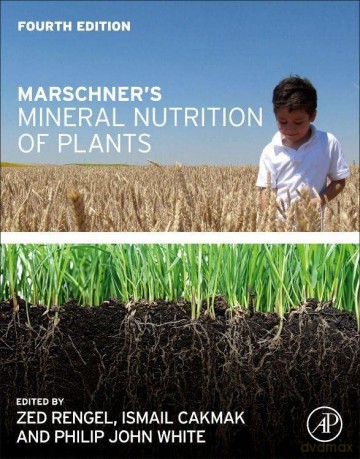 Marschners Mineral Nutrition Of Plants - Zed Rengel [KSIĄŻKA]