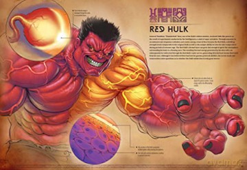 Marvel Anotomy - Marc Sumerak [KSIĄŻKA]