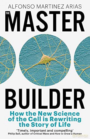 Master Builder - Alfonso Mart Arias [KSIĄŻKA]