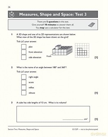 Maths Level 1 [KSIĄŻKA]