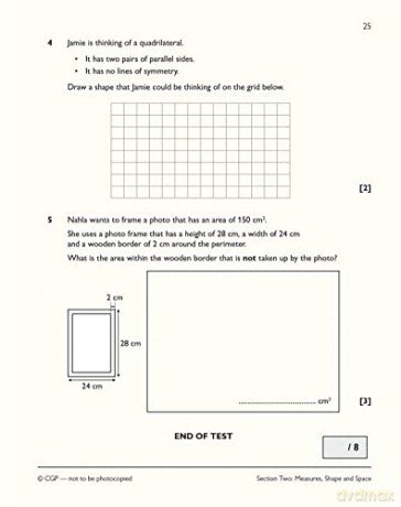 Maths Level 1 [KSIĄŻKA]