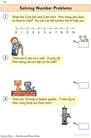 Maths Year 2 [KSIĄŻKA]
