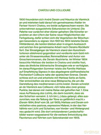 Matisse Derain Und Ihre Freunde Die Pa [KSIĄŻKA]