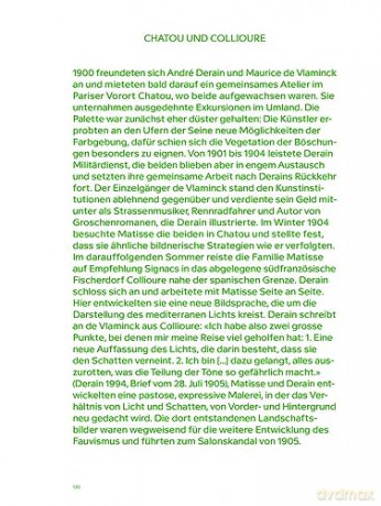 Matisse Derain Und Ihre Freunde Die Pa [KSIĄŻKA]