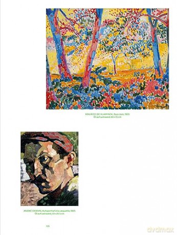 Matisse Derain Und Ihre Freunde Die Pa [KSIĄŻKA]