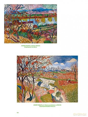 Matisse Derain Und Ihre Freunde Die Pa [KSIĄŻKA]