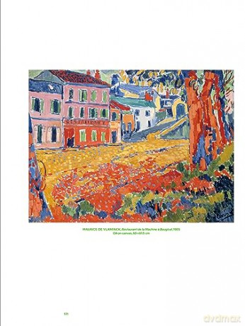 Matisse Derain Und Ihre Freunde Die Pa [KSIĄŻKA]