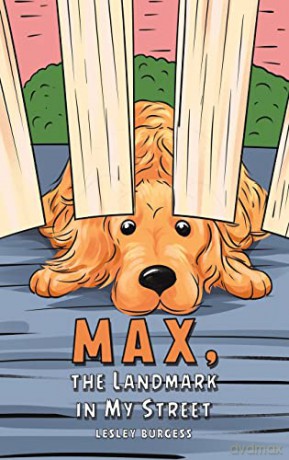 Max The Landmark In My Street - Lesley Burgess [KSIĄŻKA]
