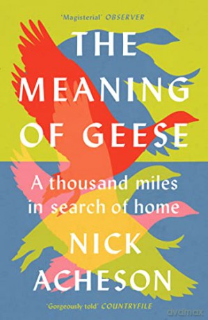 Meaning Of Geese - Nick Acheson [KSIĄŻKA]