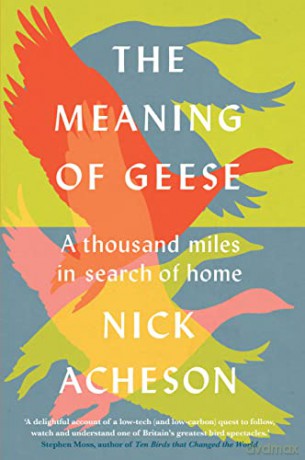 Meaning Of Geese - Nick Acheson [KSIĄŻKA]