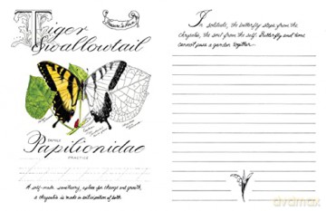 Meditations On Butterflies - Kristen D'angelo [KSIĄŻKA]