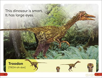 Meet The Dinosaurs Pre-Level [KSIĄŻKA]
