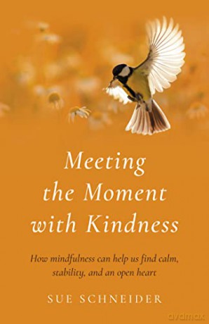 Meeting The Moment With Kindness - Sue Schneider [KSIĄŻKA]