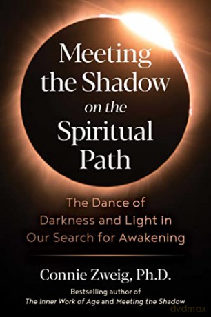 Meeting The Shadow On The Spiritual Path - Connie Zweig [KSIĄŻKA]