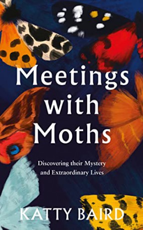 Meetings With Moths - Katty Baird [KSIĄŻKA]